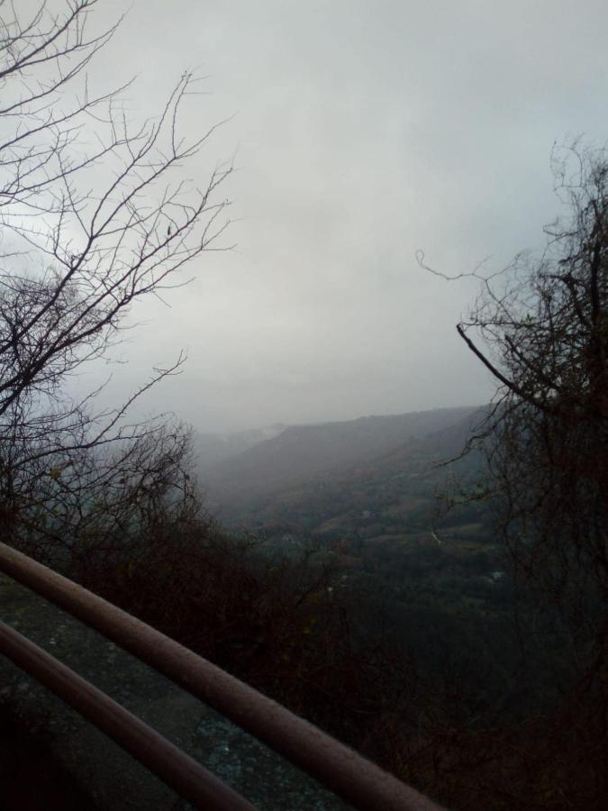 Il Vento E La Ginestra Lejlighed Bagnoregio Eksteriør billede